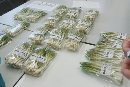 【期間限定発送】島らっきょう 生 皮むき 250g 4袋 計 1kg
