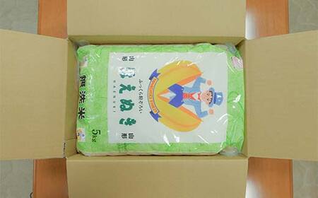 【令和7年度産】 山形県産 はえぬき無洗米 5kg ブランド米 こめ ご飯 ごはん 白米 エコ 節水 F4A-0981