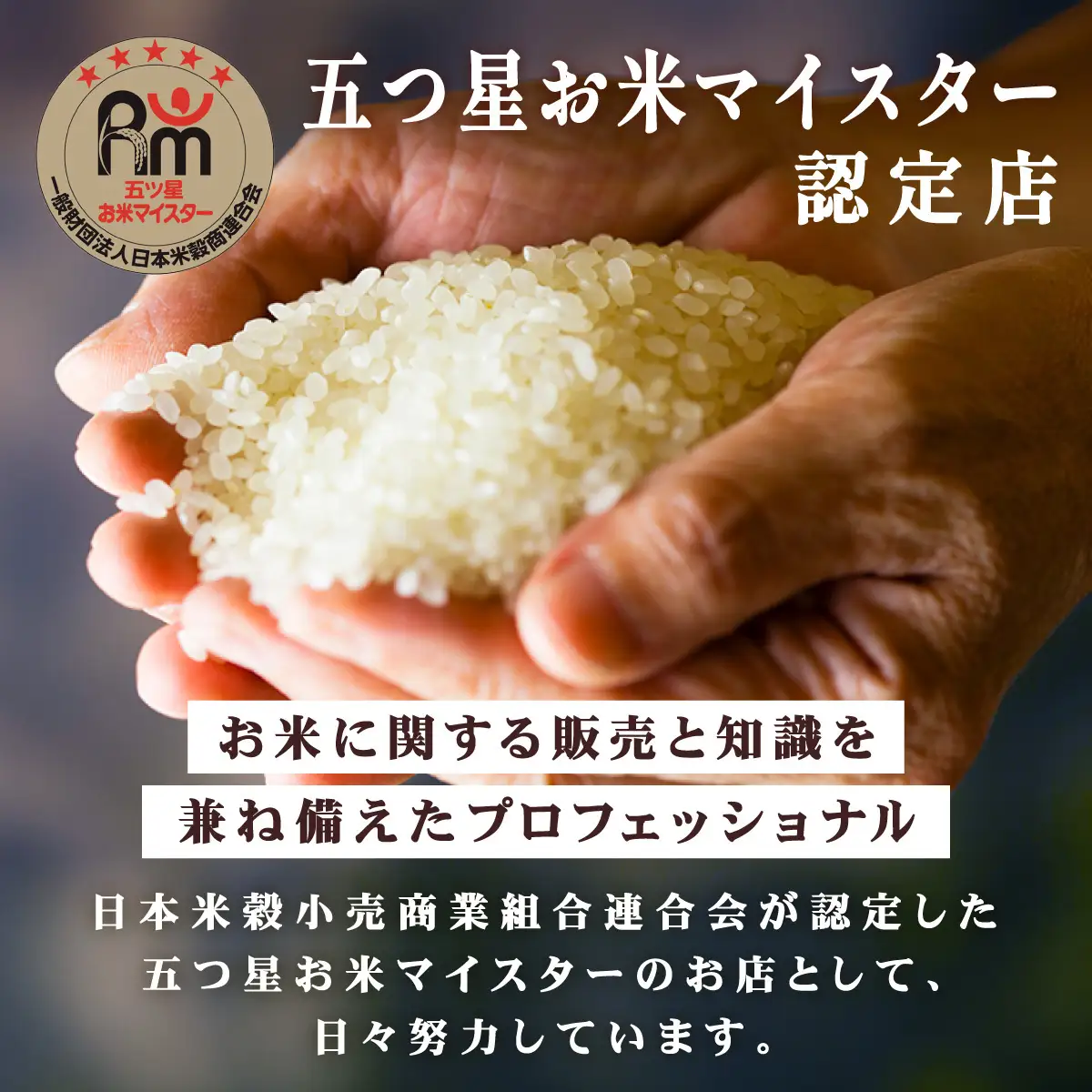 令和7年産 上志文産メープル米「ゆめぴりか」10kg