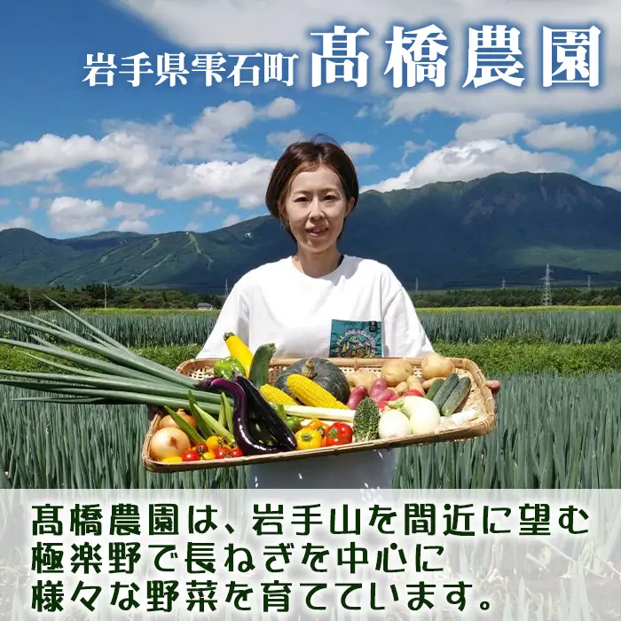 雫石町極楽野 長ねぎ 5kg以上（目安本数：約25本～35本）土なし｜新鮮野菜を産地直送！「高橋農園」