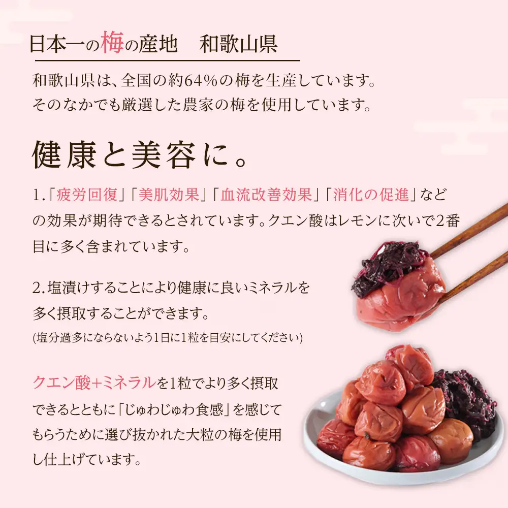 紀州南高梅 紫蘇梅 350g×2 塩分15％ [定期便 毎月発送・全3回]