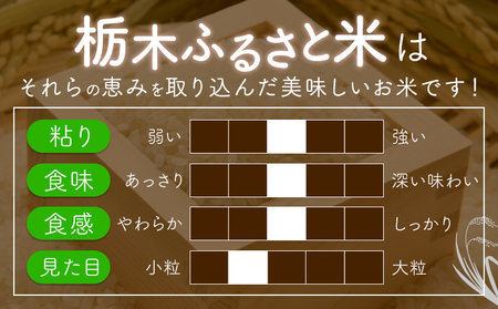 無洗米 5kg 便利な栃木ふるさと米《7-14日以内に出荷予定(土日祝除く)》おこめ【栃木県共通返礼品】
