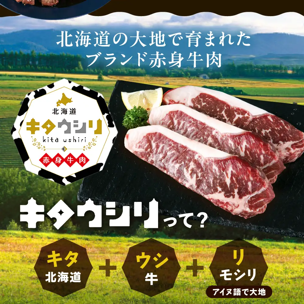 【ふるなびWEEK対象】【スピード発送】サーロインステーキ 200g×4 ステーキ[BEBJ002]