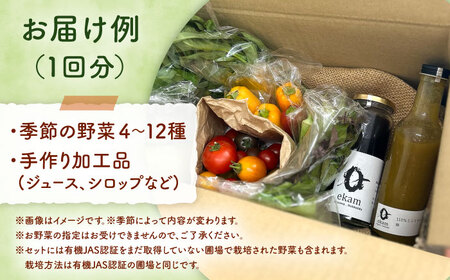 【年4回定期便】 季節の有機野菜セット 2〜3人分  [AXBV009]  北海道 詰め合わせ
