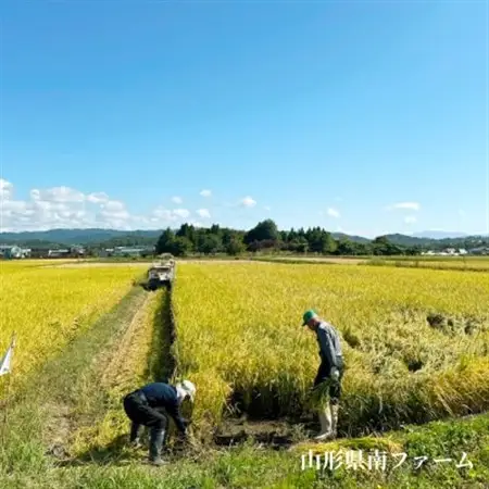 【令和8年産】 山形県産【つや姫】精米 10kg(5kg×2袋)【1672678】
