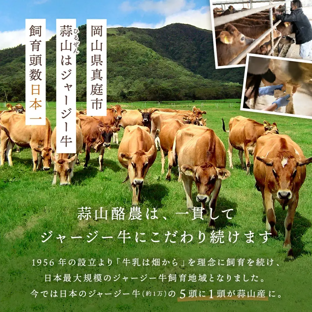 アイスクリーム 岡山県真庭市蒜山 ひるぜんジャージープレミアムアイスクリーム12個セット 【hiru011-01】