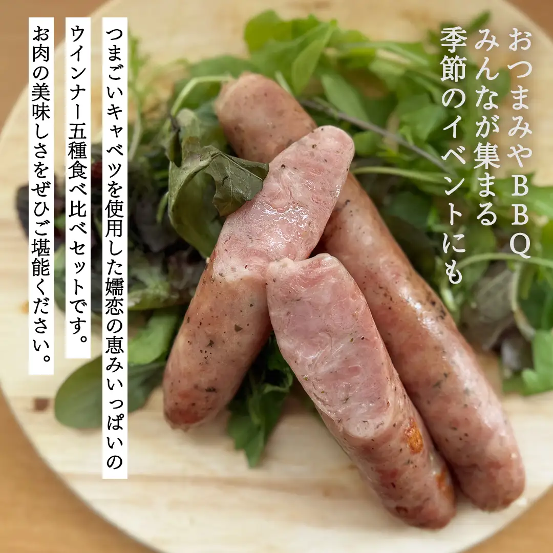 ウインナー 5種 食べ比べ セット つまごいキャベツ入り ソーセージ [AH045tu]