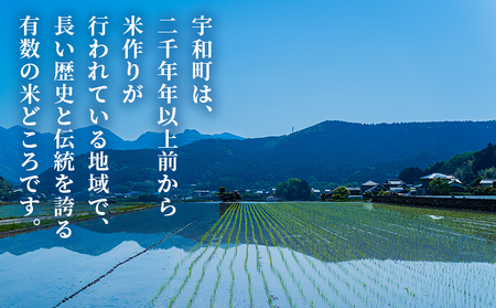 【先行予約】＜令和8年産 愛媛県西予市産 コシヒカリ 10kg（3回定期便）＞ 定期便 お米 コメ こめ 白米 精米 ご飯 新鮮 10キロ 愛媛県産 宇和町産 こしひかり 特産品 もとき農園 愛媛県 西予市【常温】『2026年10月・11月頃から順次発送予定』 UMK0013
