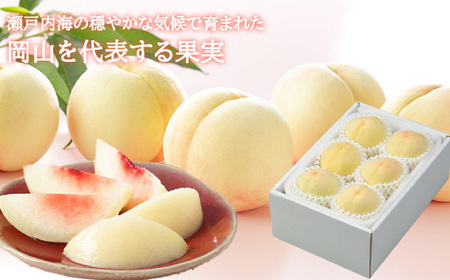 岡山白桃 ロイヤル 4～6玉 約1kg 岡山県産  【2026年7月上旬～8月下旬迄発送予定】 ／ 白桃 桃 もも 果物 果実 フルーツ 岡山県 美咲町 冷蔵