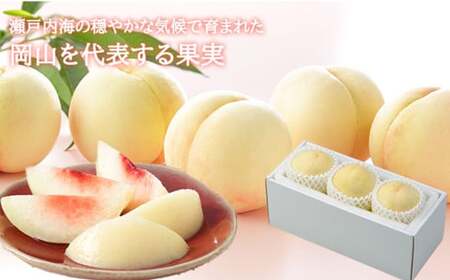 岡山白桃 エース 3玉 × 約200g 計約600g 岡山県産 （早生種・中生種） 【2026年7月上旬～8月下旬迄発送予定】 ／ 白桃 桃 もも 果物 果実 フルーツ 岡山県 美咲町 冷蔵