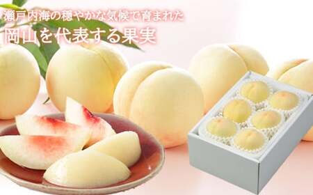 岡山白桃 エース 4～8玉 約1.2kg 岡山県産 【2026年7月上旬～8月下旬迄発送予定】 ／ 白桃 桃 もも 果物 果実 フルーツ 岡山県 美咲町 冷蔵