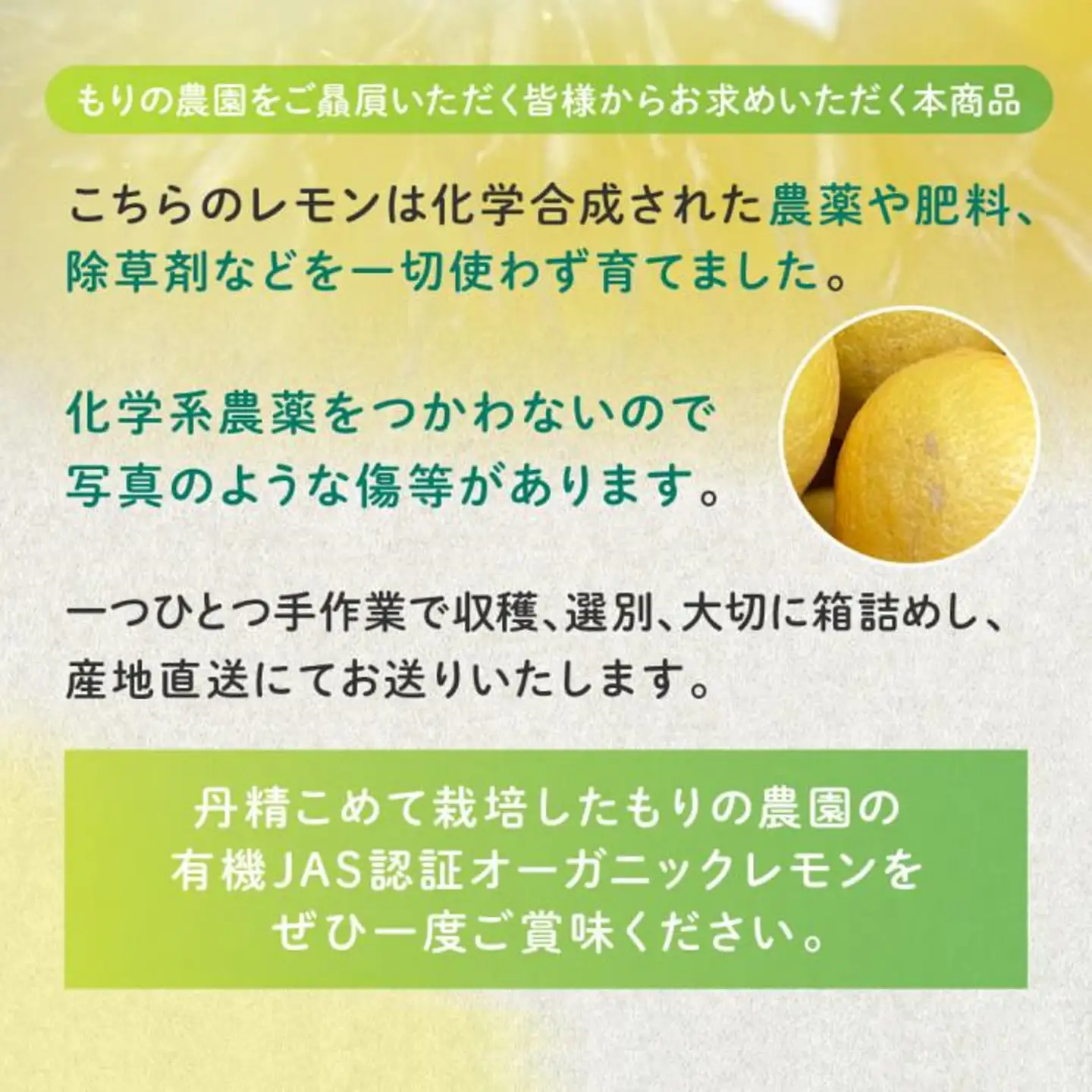 【有機JAS認証】レモン島からお贈りするオーガニックレモン 1kg 有機レモン 2月以降発送予定 産直 国産 有機栽培