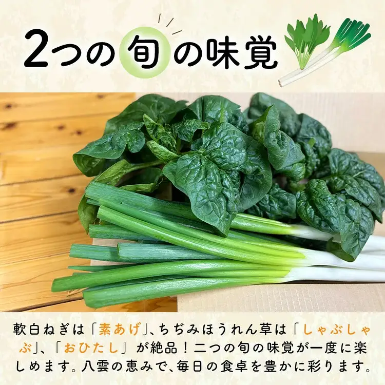 【先行予約】八雲産 軟白ねぎ 1kg + 寒ちぢみ ほうれん草 800g セット ※2026年12月～発送