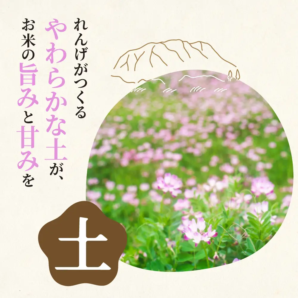 玄米 R7年産 15kg  ハツシモ｜玄米