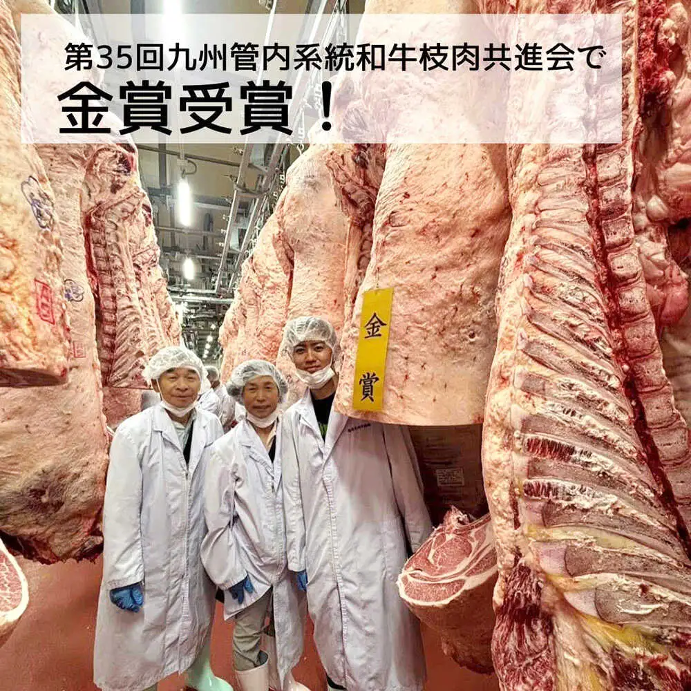 【A4‐A5】国産牛 焼肉用3種盛りセット 合計530g 博多和牛 肉 牛肉 人気 おすすめ[ABDD084]
