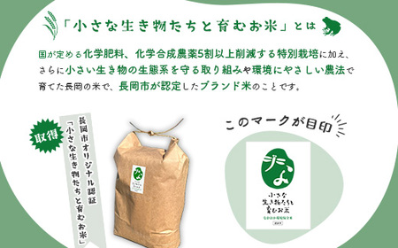 25-8SC051【精米】新潟県長岡産コシヒカリ5kg【「小さな生き物たちと育むお米」認証品】