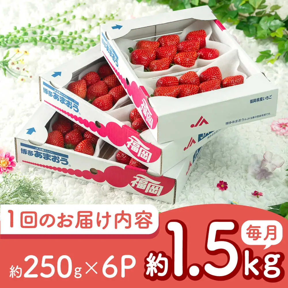 【全2回定期便】福岡産 春あまおう 250g×6P BGAG052 あまおう