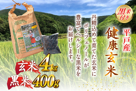 玄米 令和8年 平戸の健康玄米 4kg 黒米 400g セット 計4.4kg