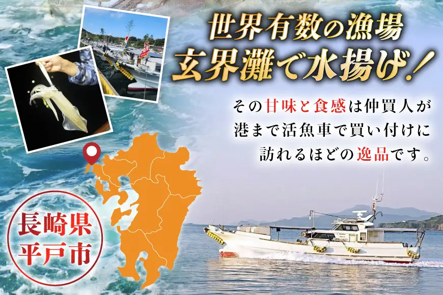 イカ 【ランキング1位獲得！】 極鮮ヤリイカ 刺身 約500g