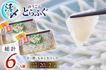 ふぐ 刺身 セット 活〆 おうごんとらふぐ 刺身セット 2人前 3回 定期便