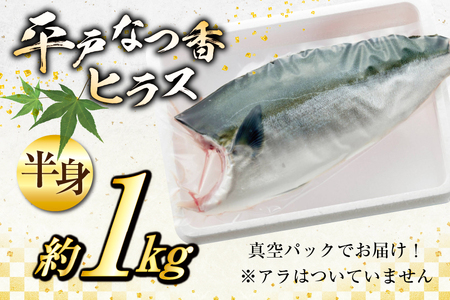 刺身 ヒラマサ 平戸なつ香 ヒラス 半身 約1kg