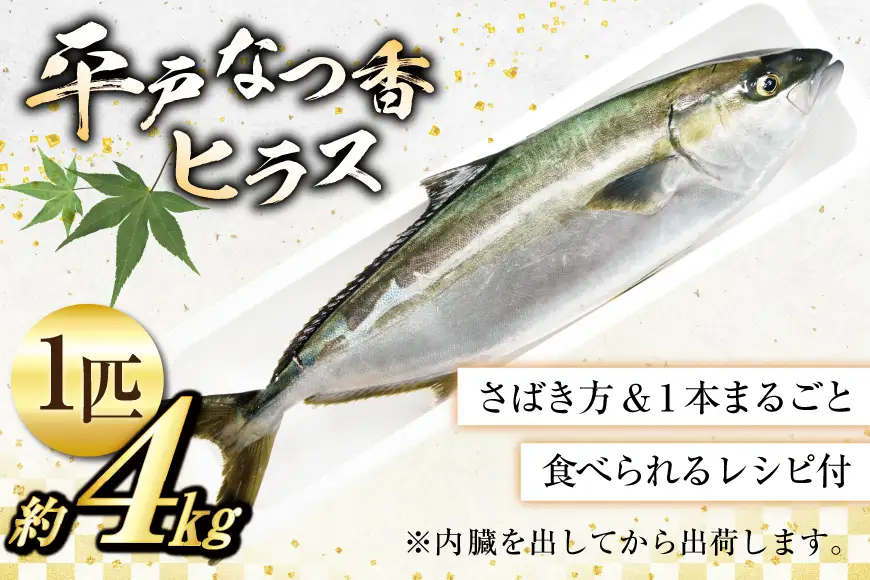 刺身 ヒラマサ 平戸なつ香 ヒラス 丸々 1匹 約4kg