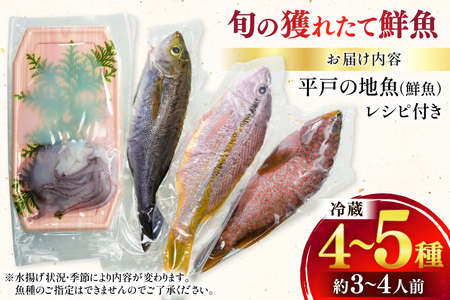 鮮魚 詰め合わせ 旬の獲れたて鮮魚 4種 ～ 5種