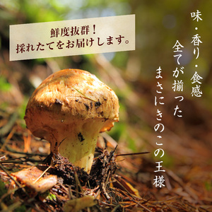 【訳あり】数量限定/信州産「天然松茸」（約400g前後）