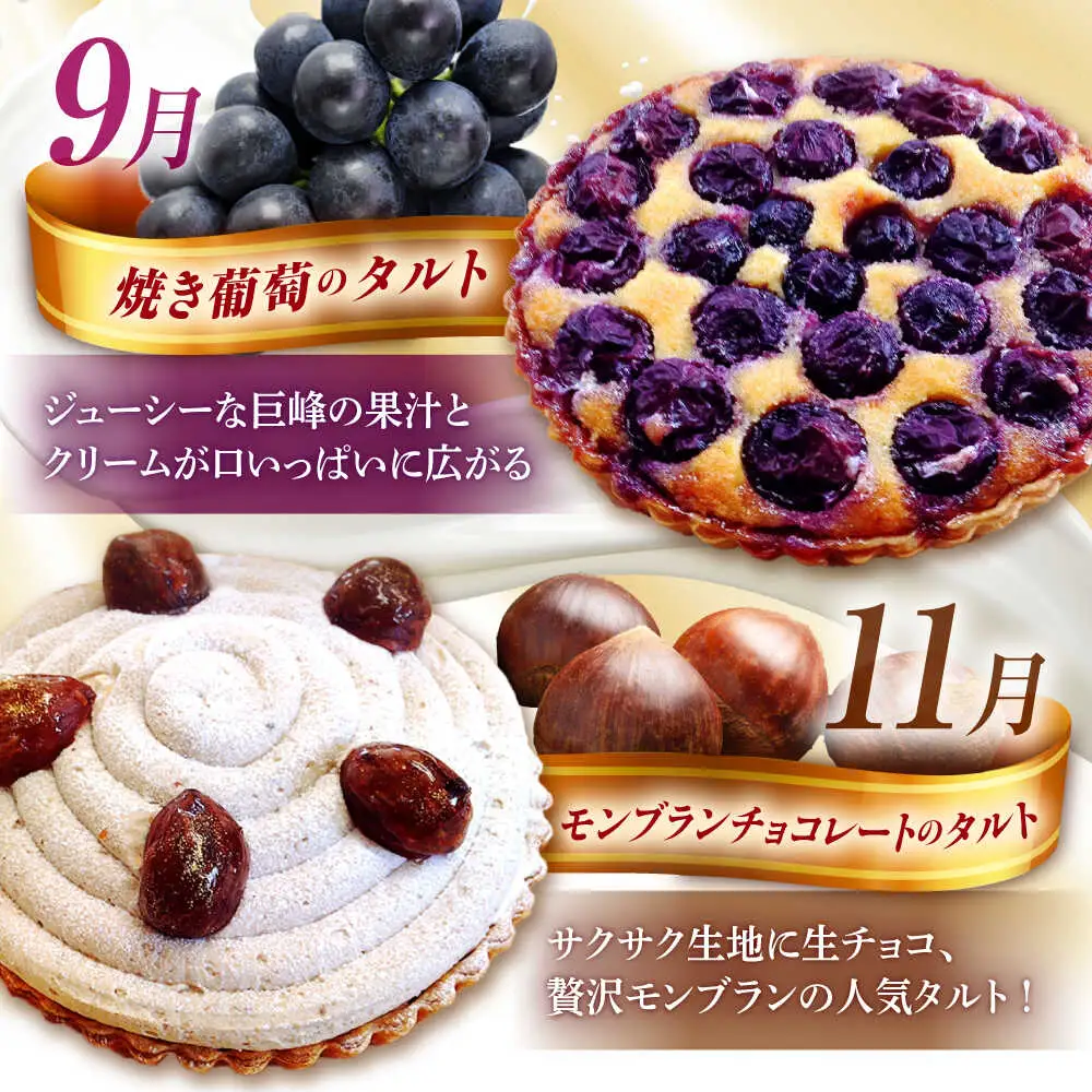 【奇数月 5回定期便】 季節の タルト 定期便 / タルト フルーツ 旬 スイーツ メロン 果物 モンブラン チーズタルト / 南島原市 / アトリエジジ[SAA035]
