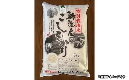 P1-01A新潟県長岡産特別栽培米コシヒカリ 5kg【「小さな生き物たちと育むお米」認証品】