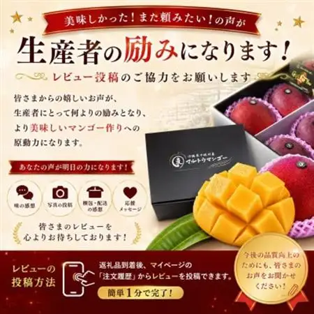 【2027年6月下旬から順次発送】マルトウマンゴーのプレミアム アップルマンゴー2kg【配送不可地域：離島】【1670285】
