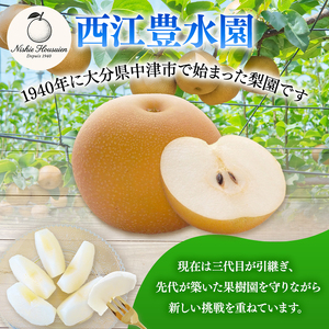 西江豊水園の喜水梨 約3kg ( 7個前後 ) | フルーツ 果物 くだもの 果実 数量限定 旬 完熟梨 梨 なし ナシ 喜水 喜水梨 和梨 3kg 3キロ 新鮮 産地直送 大分県産 九州産 国産 大分県 中津市