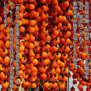市田柿 柿チップ（100g×3袋）ひとくちサイズ