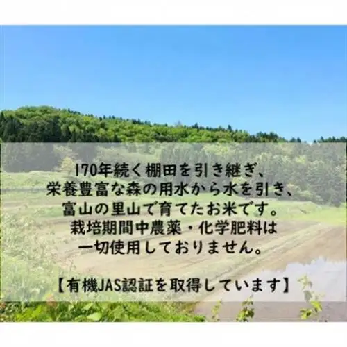 有機米コシヒカリ白米「棚田tanada」有機JAS認証米　3kgサイズ【1560111】