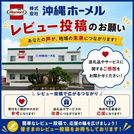 「沖縄ホーメルお試しセット」じゅーしぃの素 3合用×2袋【1676790】