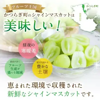 朝摘み！ シャインマスカット 秀品2房（約1.2kg）【2026年8月末から9月末順次発送予定】【kgr035】