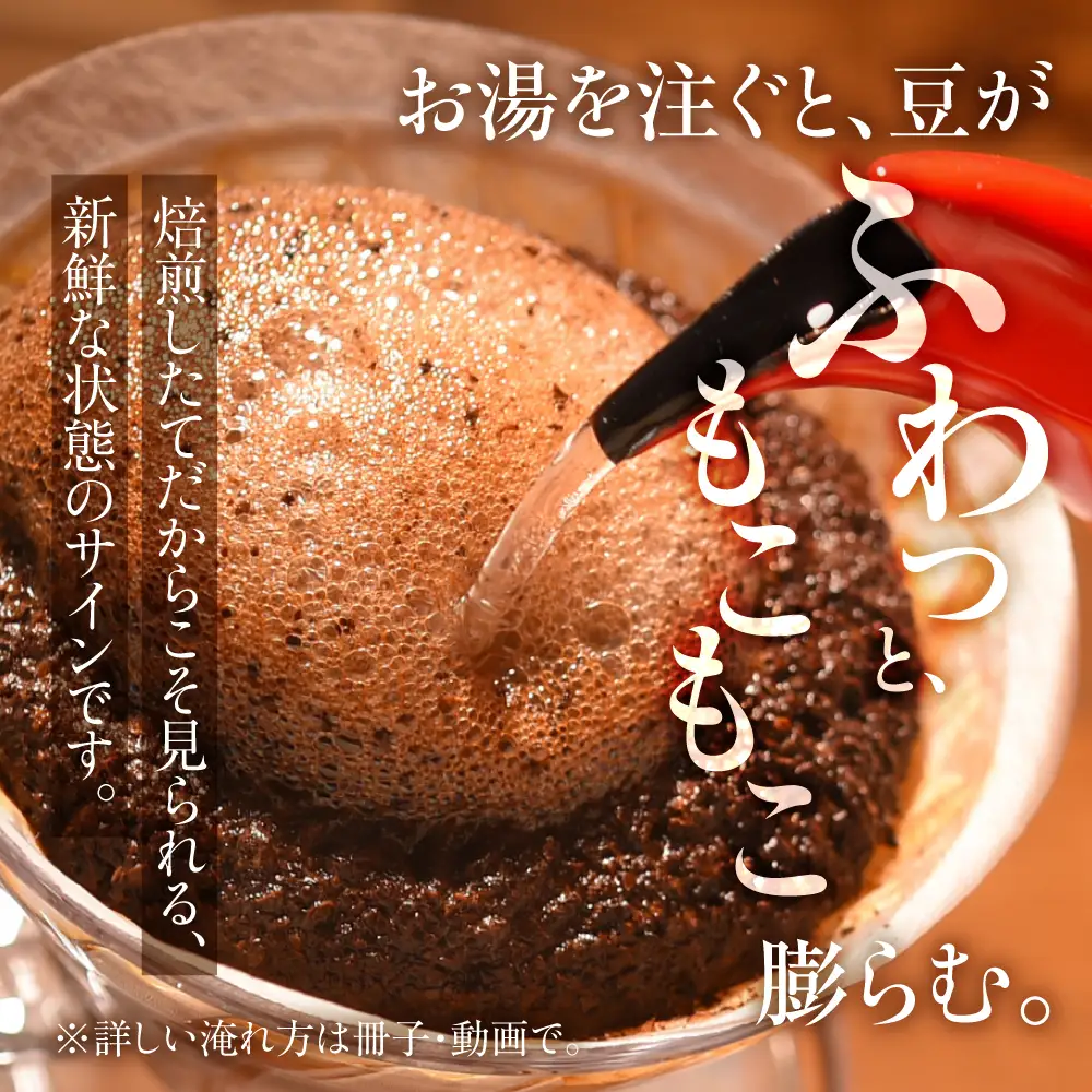 超希少種 コーヒー 豆 エチオピア ゲイシャ ナチュラル 200g｜コーヒー