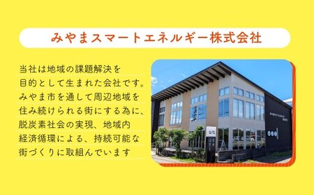 Z3 みやま市産 CO2 フリーでんき （2,500円×3ヶ月分） 電気料金 電気代 電力 エネルギー 節約 福岡県 みやま市