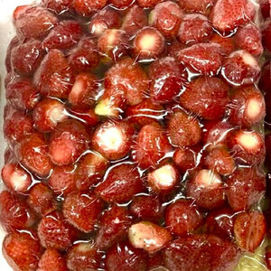 冷凍 オーガニックいちご 1kg 有機いちご 苺 さちのか