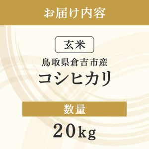 令和8年産米 コシヒカリ 玄米 20kg 新米