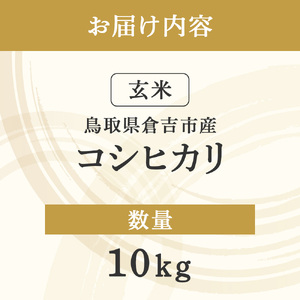 令和8年産米 コシヒカリ 玄米 10kg 新米