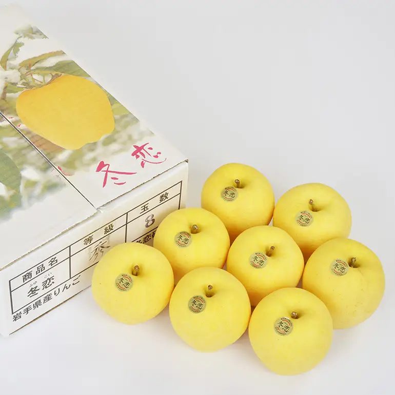 二戸産 カシオペア 冬恋はるか 約2.5kg 【2026年12月上旬-下旬発送予定】 002-0746x1