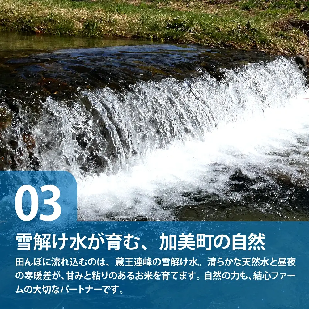 無洗米 令和8年産つや姫 10kg 無洗