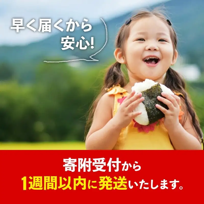 令和7年産【彩のきずな】白米27kg 色彩選別済 White Rice - お米 ごはん 精米