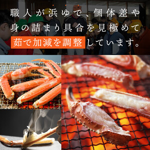 【2026年11月発送】特撰 松葉がに（茹）【訳あり】700g超のサイズ  2杯