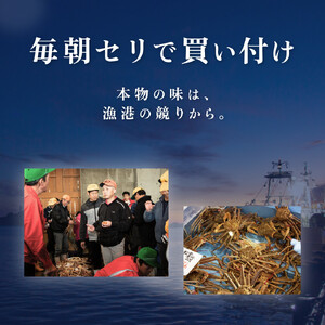 【2025年12月発送】鳥取県産 特撰 親がに 姿【セコガニ】（茹）100g 5杯