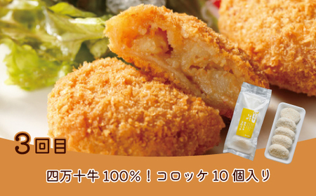【 5回定期便 】 簡単調理 でごちそう！ 四万十のおかず定期便 5回 毎月届く カツオ うなぎ コロッケ 餃子 ギョーザ チキン おかず 惣菜 ごちそう 夕食 調理済み 定期便 高知 四万十市 四万十 しまんと 39210-999-9006