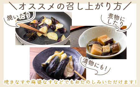 【2026年10月中旬以降発送】長なす １ｋｇ 家庭用 yr-0070