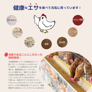 かっぱの健卵 20個 3か月定期便【大熊養鶏場】たまご 卵 玉子 タマゴ 生卵 こだわり 卵かけご飯 TKG 国産 お取り寄せ 北海道 比布町 ぴっぷ 1006-005