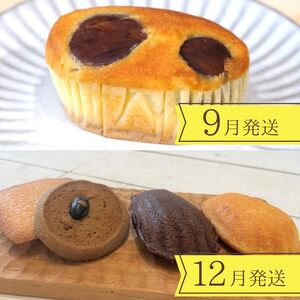 【4回定期便】〈洋菓子館ベルジェノア〉季節ごとに届く洋菓子定期便